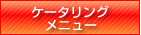 ケータリングメニュー