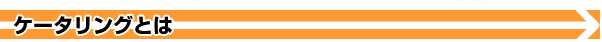 ケータリングとは
