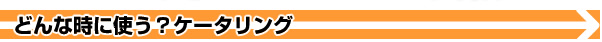 どんな時に使う？ケータリング